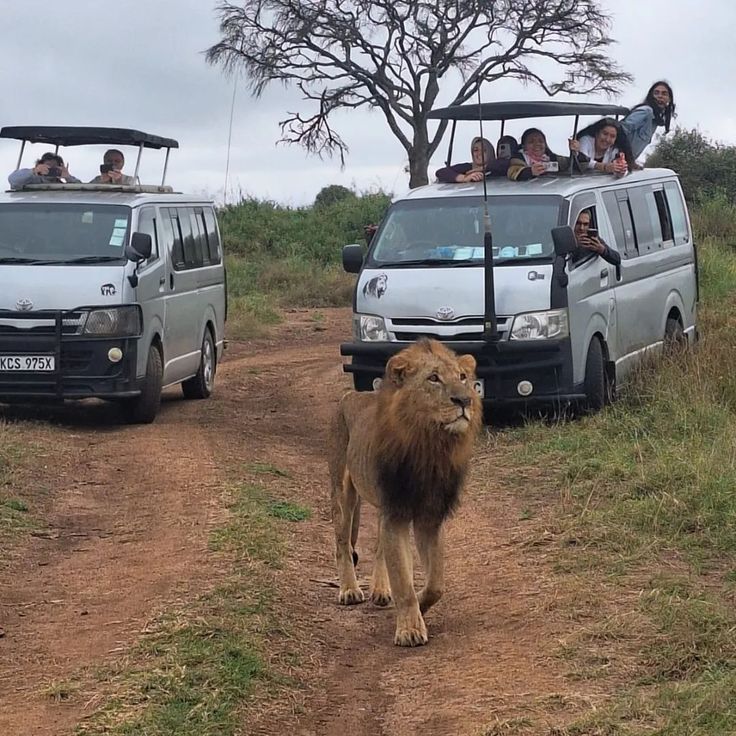4x4 car Hire Entebbe with a Driver